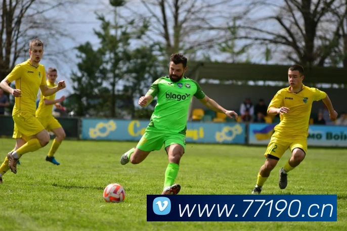 多媒体互动体验